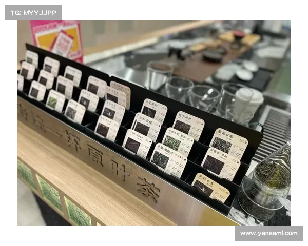 为什么52奶茶成为年轻人新的潮流风向标引领饮品趋势的新风潮