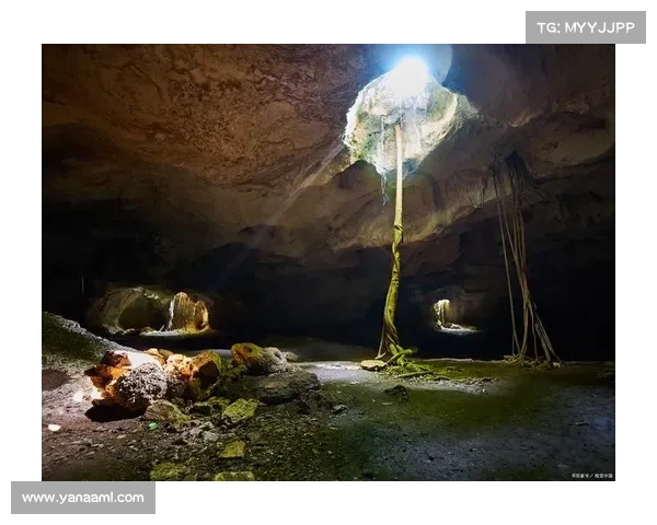 隐匿洞穴行动全面解析：背景、策略、实施过程及其深远影响探讨