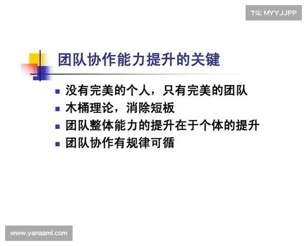 辅助光辉装备在提升团队协作中的作用与策略分析