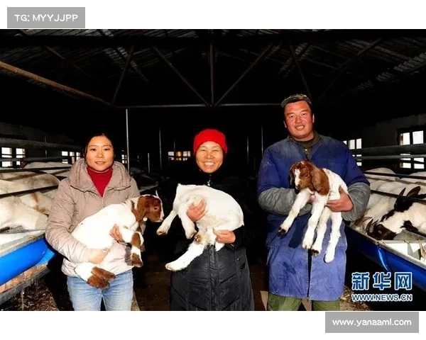 高海拔社工服务站助力社会服务创新与探索推动山区社会福利发展 高海拔社工服务站助力社会服务创新与探索推动山区社会福利发展