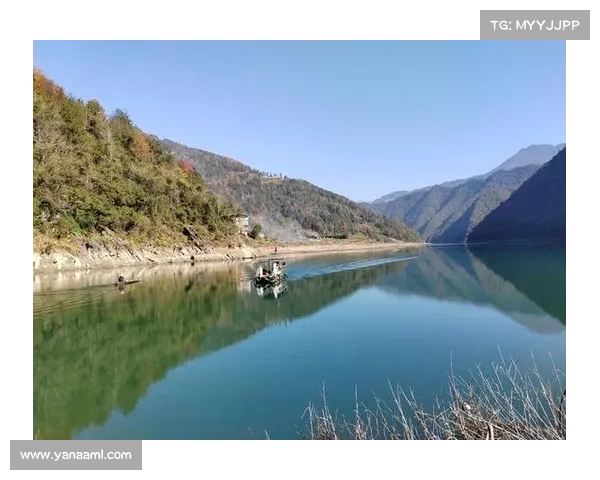 如何在鹤观岛发现与众不同的奇妙风光与自然魅力