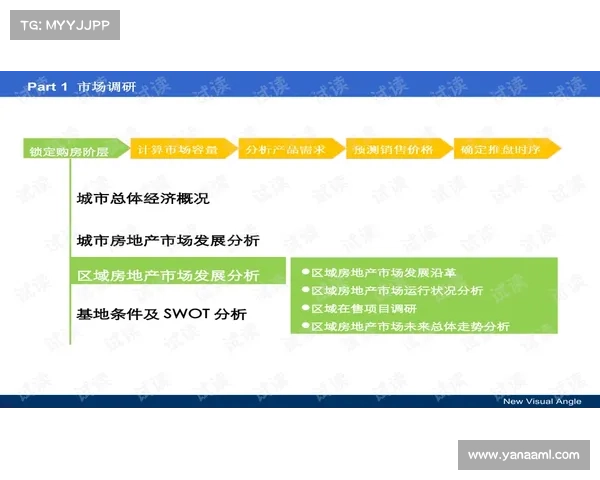 提升Ragdoll Runners操作技巧的高效训练与实战应用方法指南