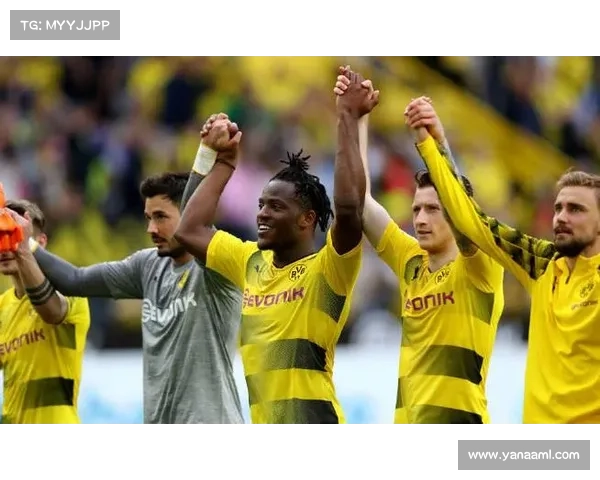 巴舒亚伊说的语言揭秘 揭开这位足球明星的语言天赋与文化背景