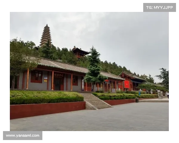 探秘法甲冠军标志百年历史演变与视觉象征文化变迁全景深度解析